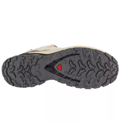 Salomon XA Pro 3D v9 GTX W L47817600 Smėlio 36 2/3