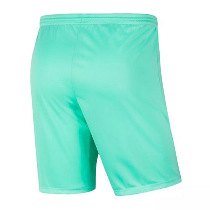 Nike Park III Knit Jr BV6865-354 Šortai