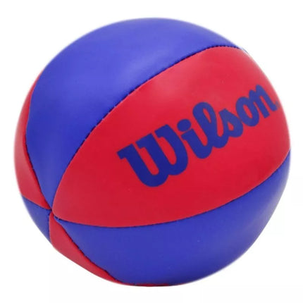 Krepšinio lenta 29x24cm NBA WILSON + kamuoliu WTBA1302NBARD