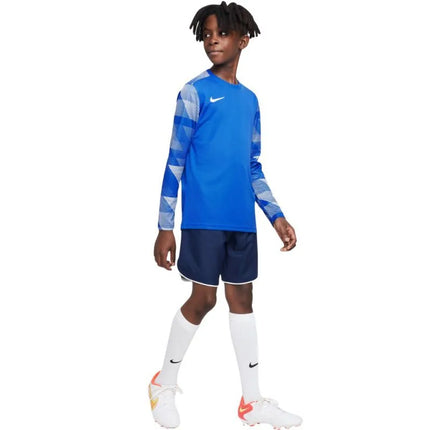 Nike Dry Park IV JSY LS GK Jr CJ6072-463