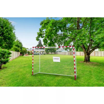 Football goal with net 300x200x110 cm Allround Dunlop - 0666