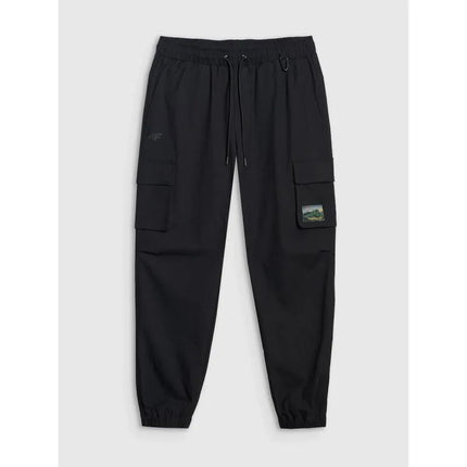 Men's casual cargo pants 4F 4FRAW25TTROM1690-20S