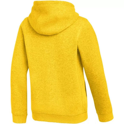 Nike Park 26 Fleece džemperis su gobtuvu vaikams Geltonas IB1226 719