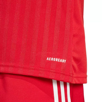 adidas Campeon 25 marškinėliai M JF6058