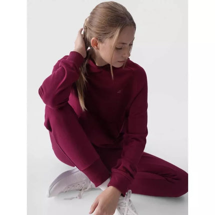 Džemperis 4F W 4FWMM00TSWSF1468-51S