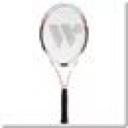 WISH WS4001 badmintono tinklas