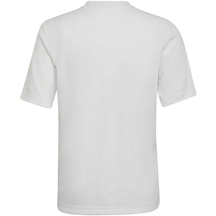 Adidas Entrada 22 Graphic marškinėliai Jr HF0120