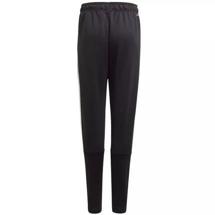 Adidas B 3S Pt Jr kelnės GN1498