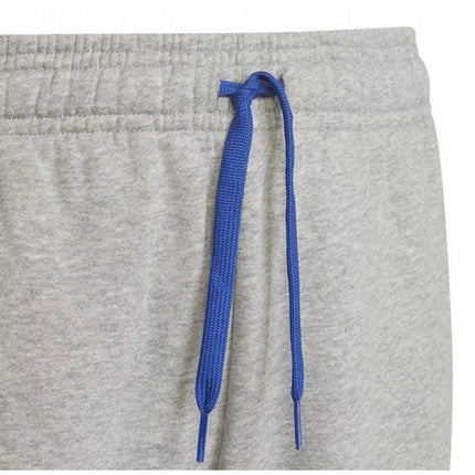 adidas Treniruočių kelnės Jr HN6712