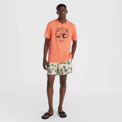 O'Neill Mix&Match Cali Spaudos Šortai 15'' M 92800613873