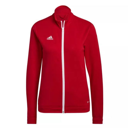 Adidas Entrada 22 Treneris W H57562 džemperis