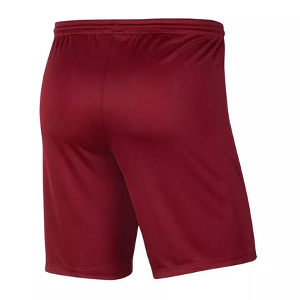 Nike Park III Knit Jr BV6865-677 Šortai