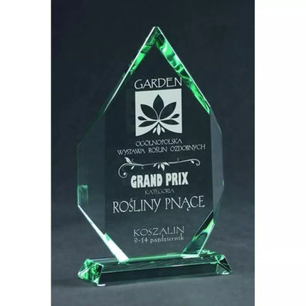 Engraved glass trophy with case