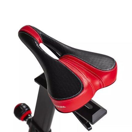 Schwinn IC8 mankštinis dviratis