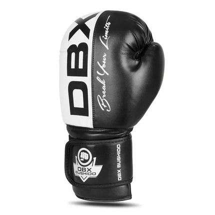 10oz Boxing Gloves - Harmony - Valor Series