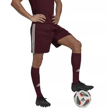 Adidas Squadra 21 Vyriški Šortai M GN8083