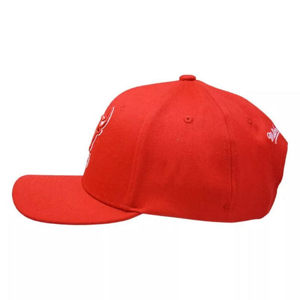 Mitchell & Ness NBA Čikagos Bulls komandos „Team Ground 2.0“ snapback tipo kepuraitė - HHSS3260-CBUYYPPPRED1