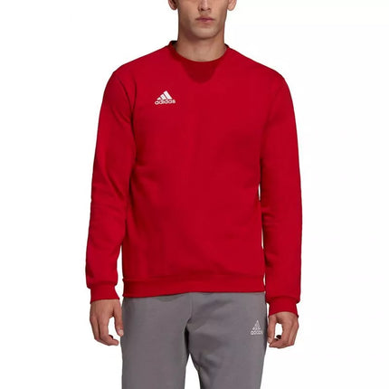 Adidas Entrada 22 Džemperis Vyrams M HB0577