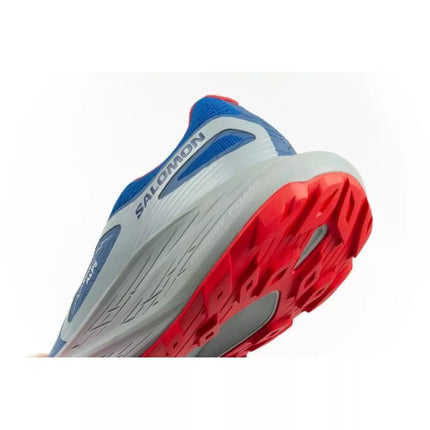 Salomon Glide Max TR Run The Alps batai 473856