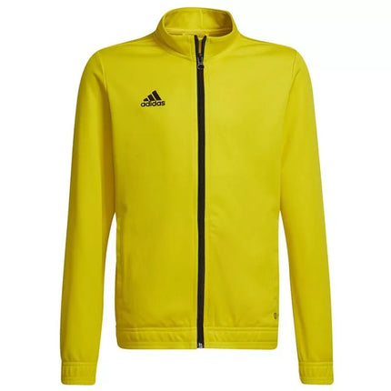 Adidas Entrada 22 jaunimo džemperis HI2139