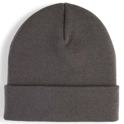 Puma High Crown Beanie Metal Cat 026404-03