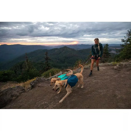 Ruffwear Front Range Day Pack šuns kuprinė - Mėlynojo mėnulio Dydis: XS