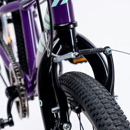 Martes Essentials Ninja 20 vaikiškas dviratis 92800597994