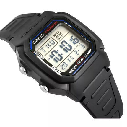 Vyriškas laikrodis CASIO W-800H-1AVES + DĖŽUTĖ