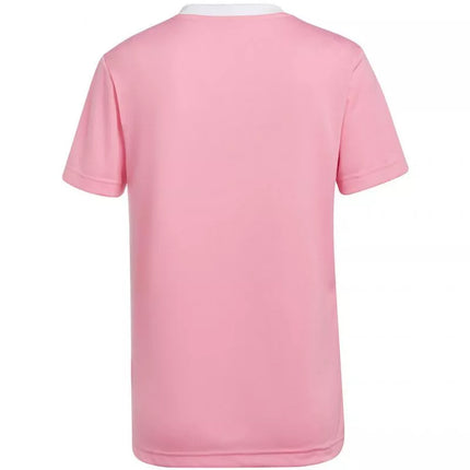 Adidas Entrada 22 moteriški marškinėliai HC5075