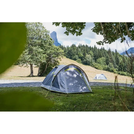 Coleman Darwin 2-Person Tent, Green and Gray Igloo