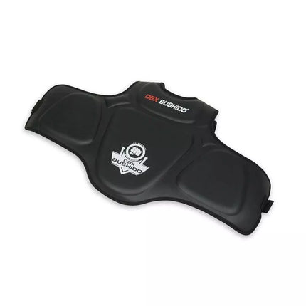 ARC-1500 Liemens ir pilvo apsauga
