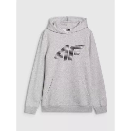 Men's sweatshirt with hood, open, 4F 4FWMM00TSWSM1766-27M