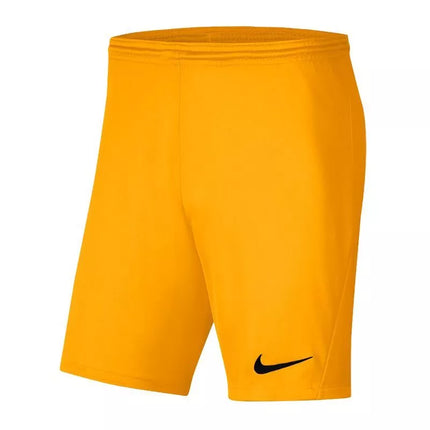 Nike Park III Knit Jr BV6865-739 Šortai