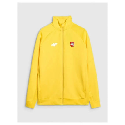 Men's training sweatshirt without hood 4F 4FSAW24TFSWM0811-71S