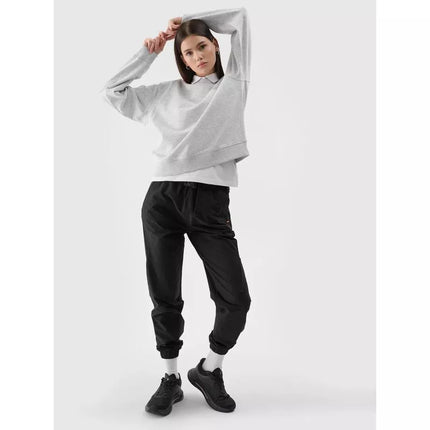 Women's sweatshirt without zipper and hood 4F 4FWMM00TSWSF1765-27M