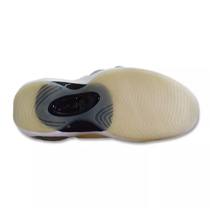 Nike Air Zoom Flight 95 Smėlio spalvos krepšinio bateliai - DX5505-100