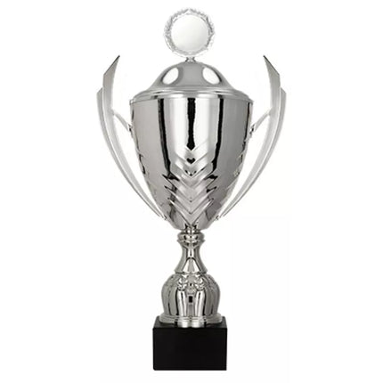 Metal cup with a lid