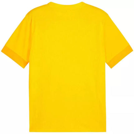 Marškinėliai Puma teamGoal Matchday Jersey M 705747 07