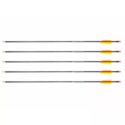 Poe Lang 28" Stiklo Pluošto Strėlės - 5 Vnt. Rinkinys (D-055-B3)