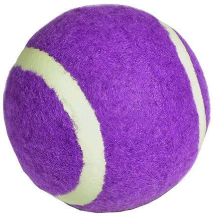 Enero Teniso kamuoliukas 1 vnt. Violetinis