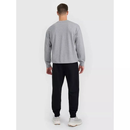 Vyriškos sportinės kelnės jogger 4F 4FRMM00TTROM1624-20S