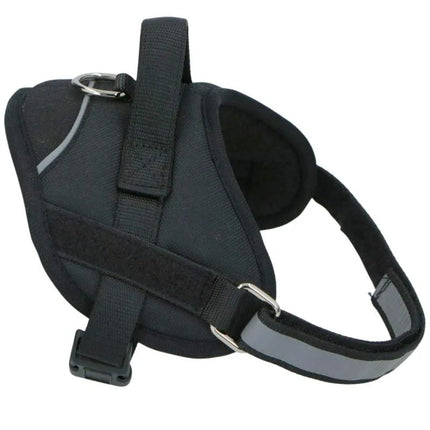 Šunų diržas su atspindinčia juosta 44-57 cm, vidutinis