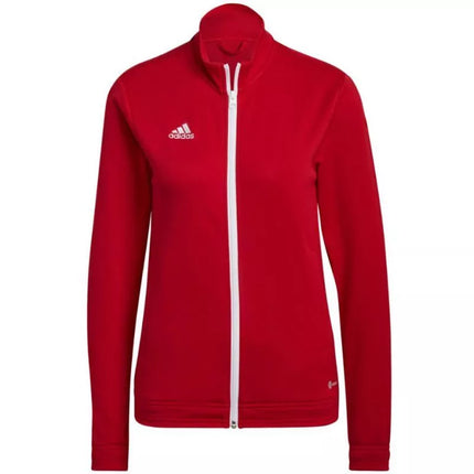 Adidas Entrada 22 Treneris W H57562 džemperis