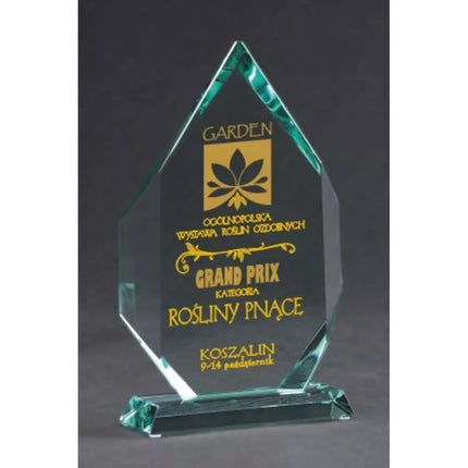 Engraved glass trophy with case + paint filling