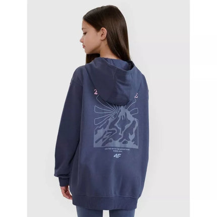 Girls' sweatshirt with a hood, 4F 4FJWSS25TSWSF1482-22S