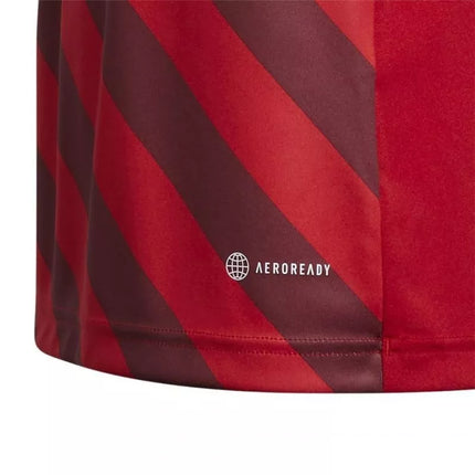 adidas Entrada 22 Graphic Jersey Jr H58983