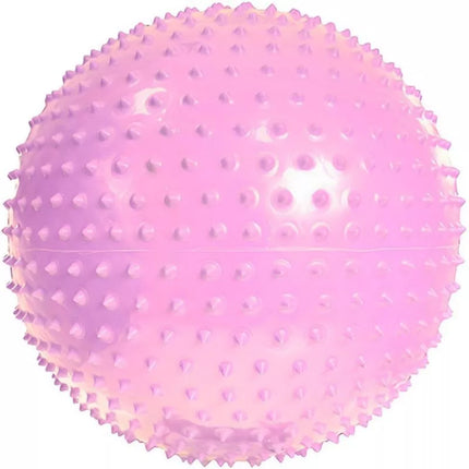 PROFIT Gimnastikos Kamuolys su Masažu 55cm Violetinis DK 2104