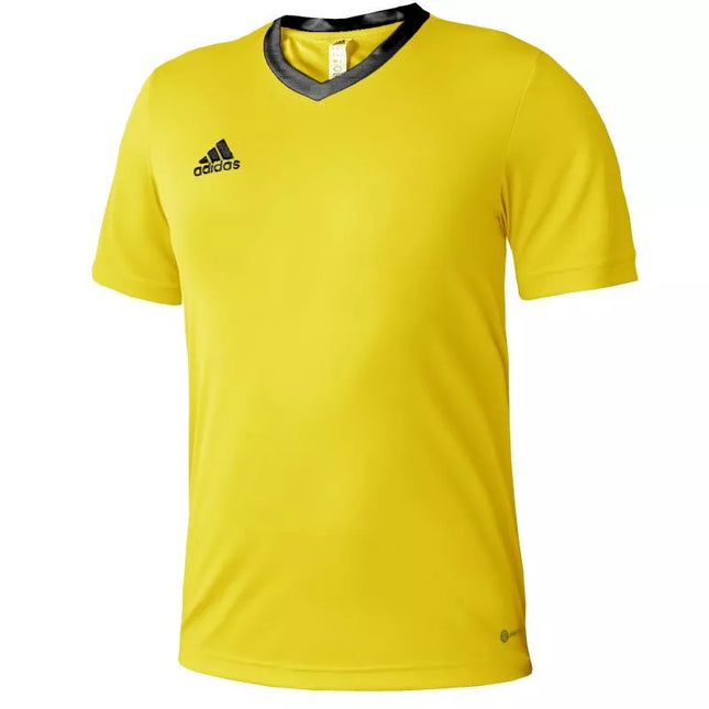 adidas Entrada 22 marškinėliai Jr HI2127