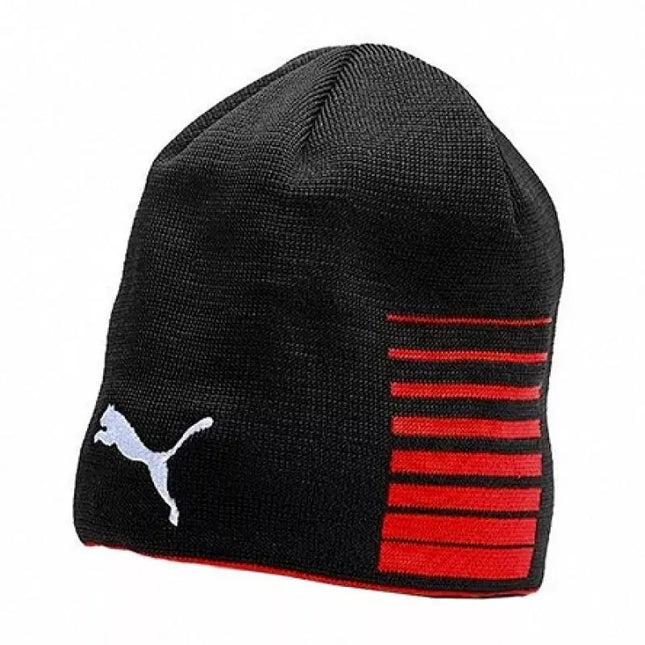 Puma Ligareversible Beanie 022357-01