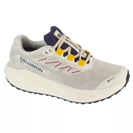 Salomon Aero Blaze 3 Grvl GTX Moteriški Batai L47974100 Pilka 38